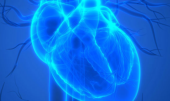 Coronary Angiography in Kalyan